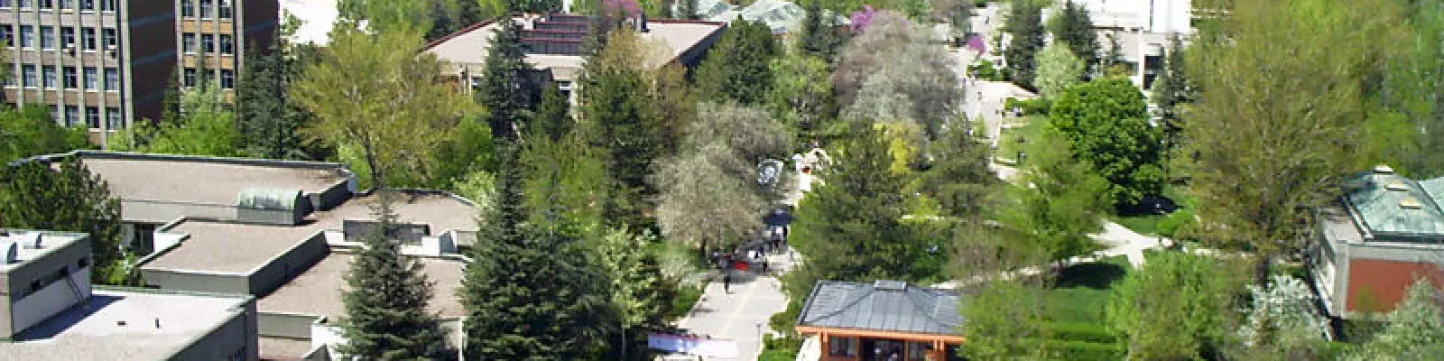 Orta Doğu Teknik Üniversitesi kampüsü — Ankara, devlet üniversitesi